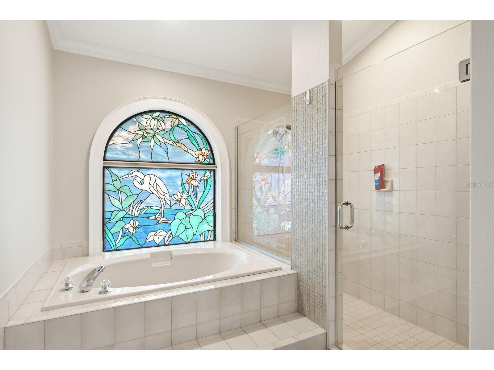 3930 Tarian Court Palm Harbor FL 34684 TB8505689 image15