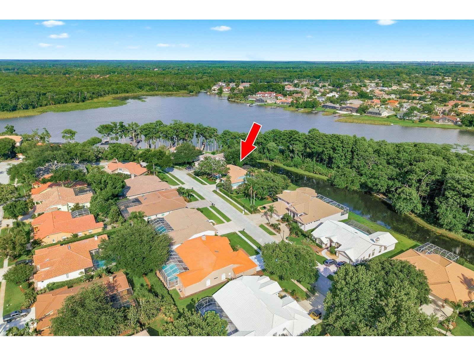 3930 Tarian Court Palm Harbor FL 34684 TB8505689 image2