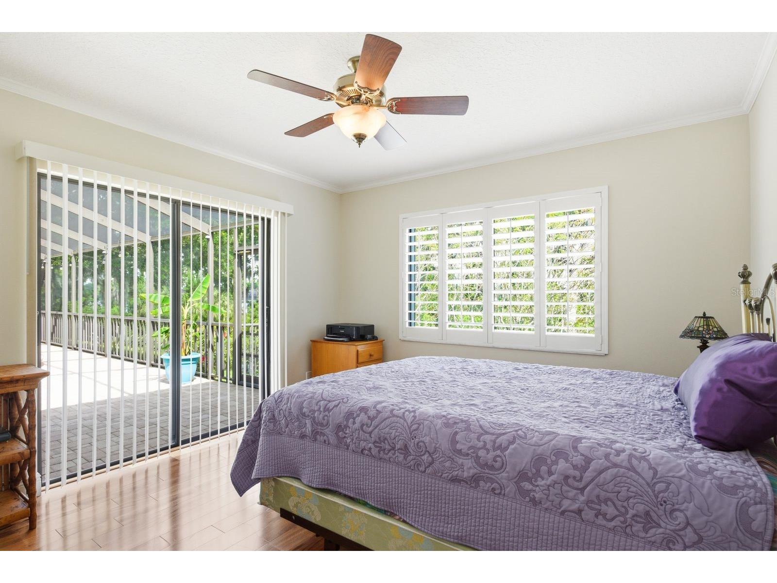 3930 Tarian Court Palm Harbor FL 34684 TB8505689 image20