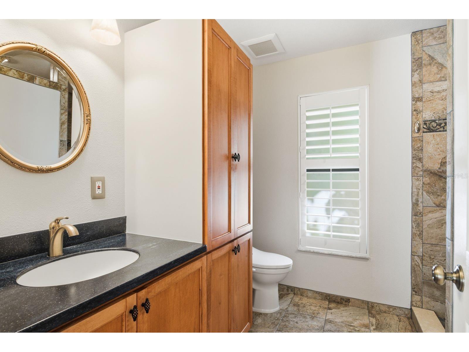 3930 Tarian Court Palm Harbor FL 34684 TB8505689 image21