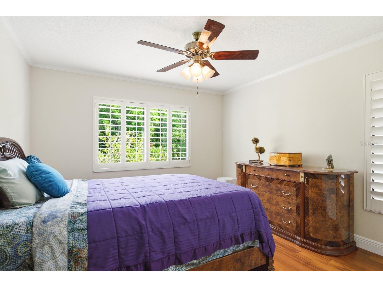 3930 Tarian Court Palm Harbor FL 34684 TB8505689 image23