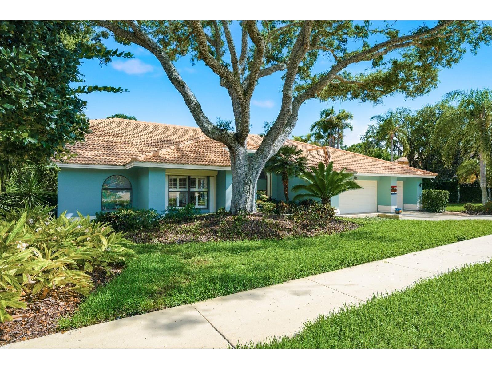 3930 Tarian Court Palm Harbor FL 34684 TB8505689 image3