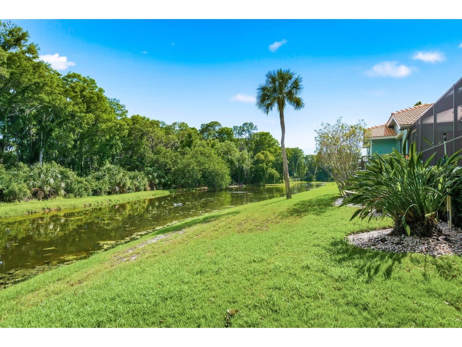 3930 Tarian Court Palm Harbor FL 34684 TB8505689 image30