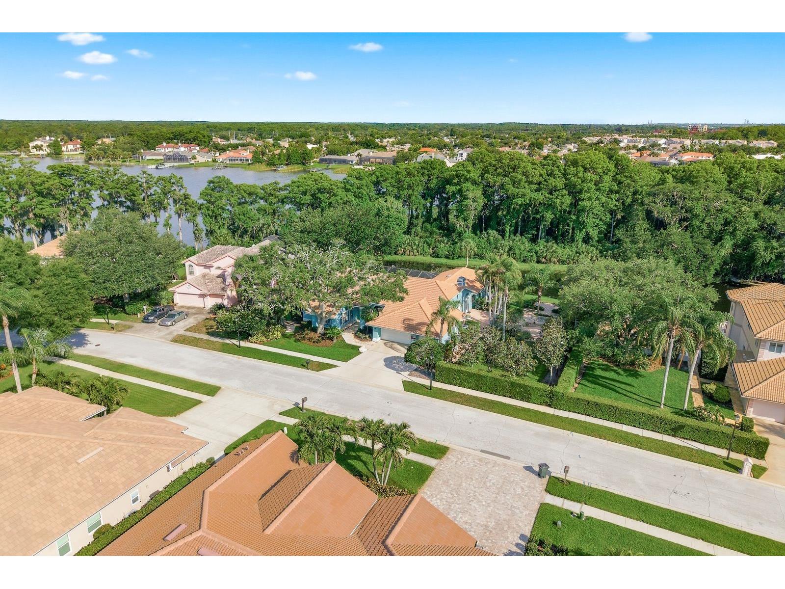 3930 Tarian Court Palm Harbor FL 34684 TB8505689 image33