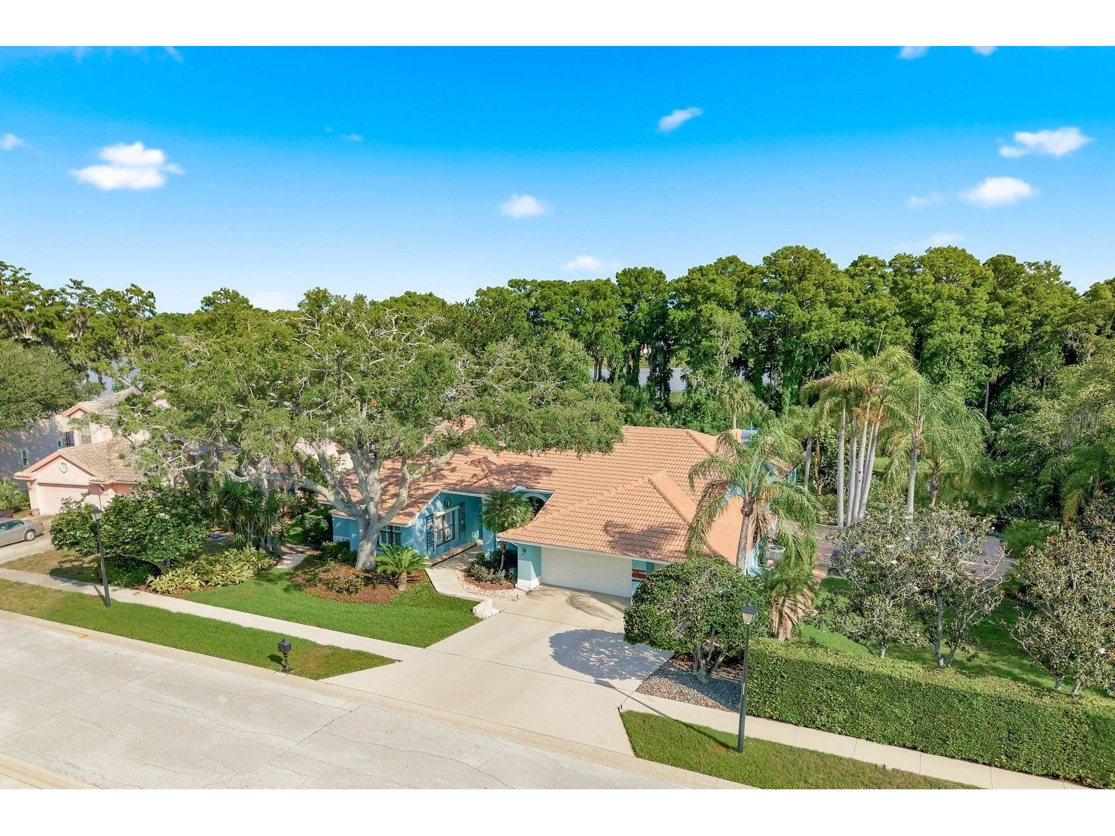3930 Tarian Court Palm Harbor FL 34684 TB8505689 image34