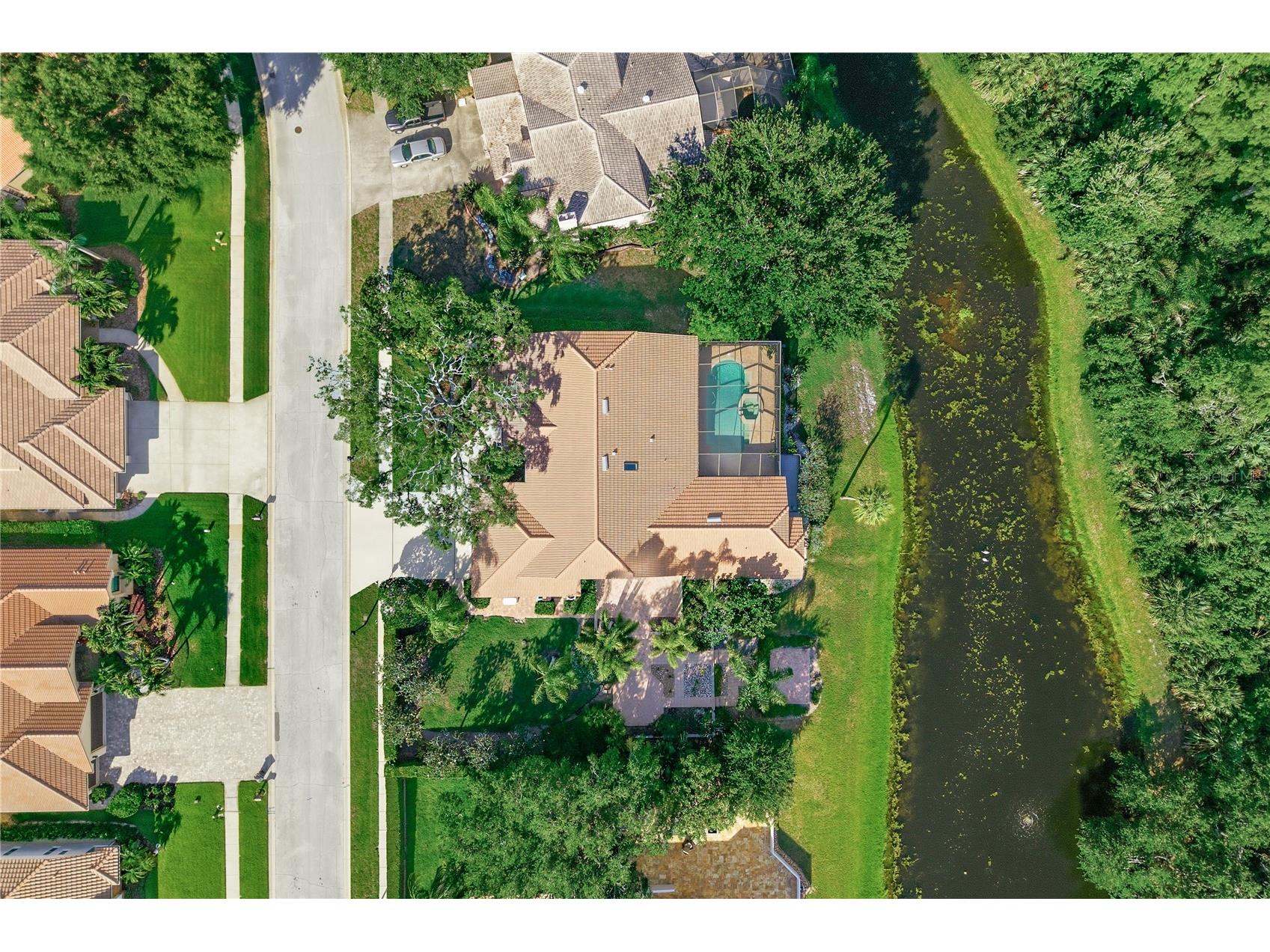 3930 Tarian Court Palm Harbor FL 34684 TB8505689 image35