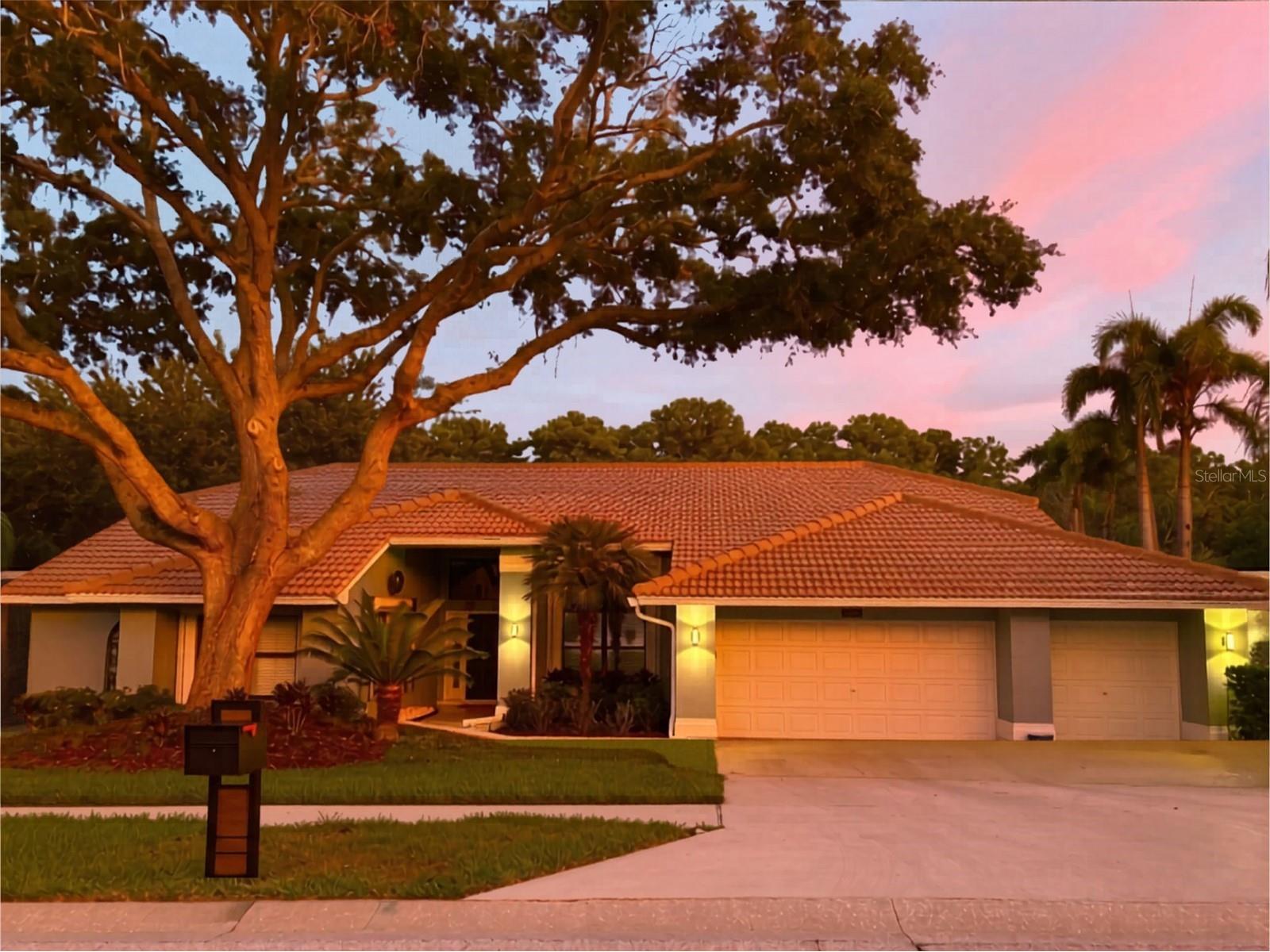 3930 Tarian Court Palm Harbor FL 34684 TB8505689 image36