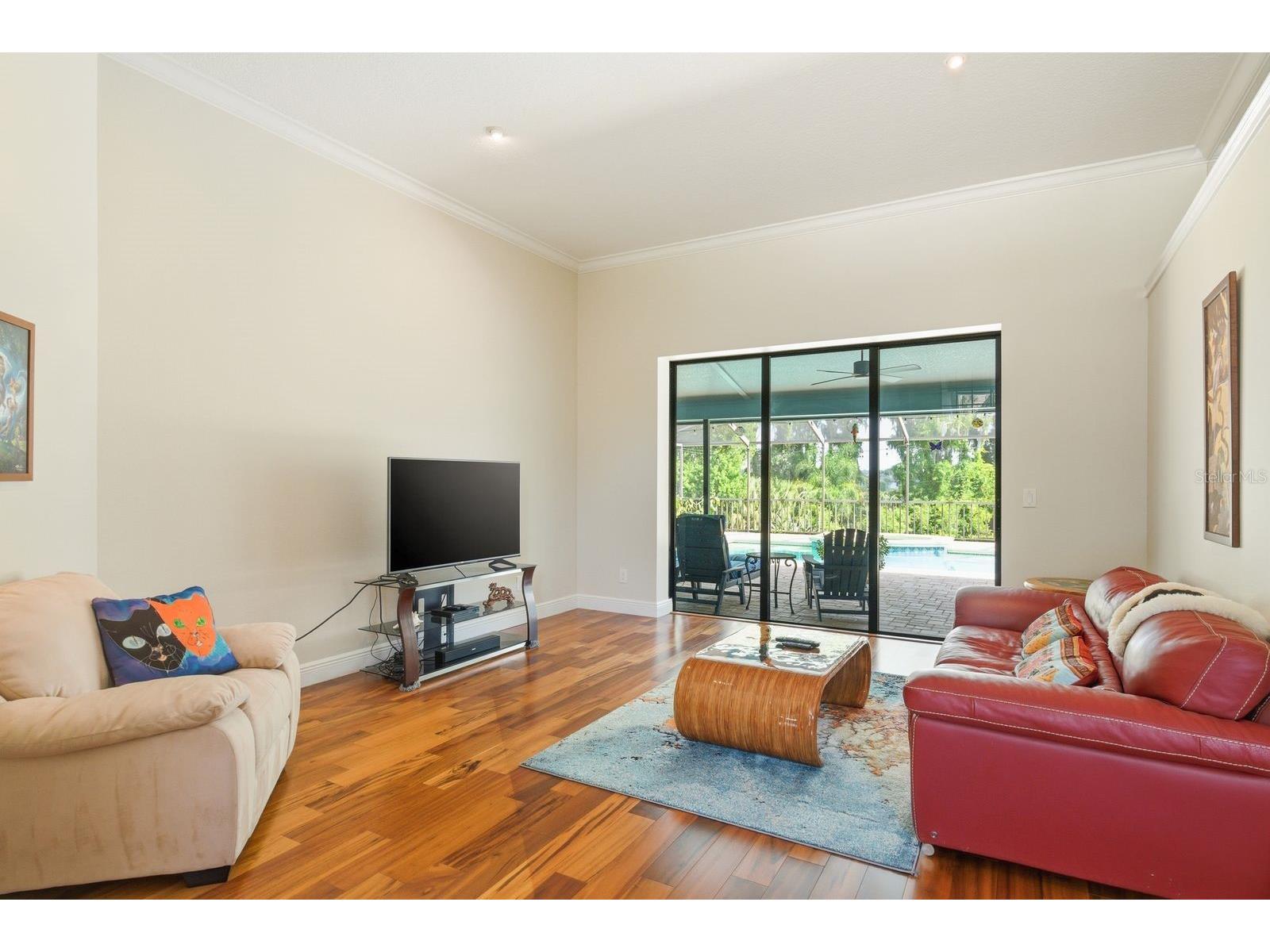 3930 Tarian Court Palm Harbor FL 34684 TB8505689 image6