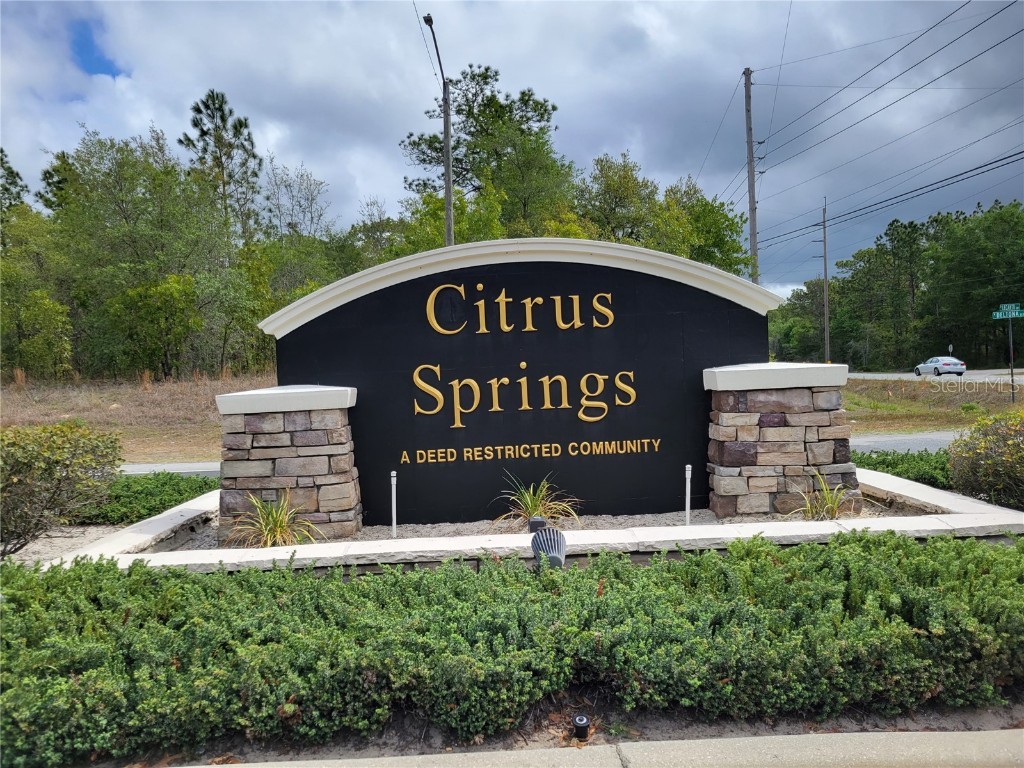 3930 W Fireside Lane Citrus Springs FL 34433 OM691033 image1