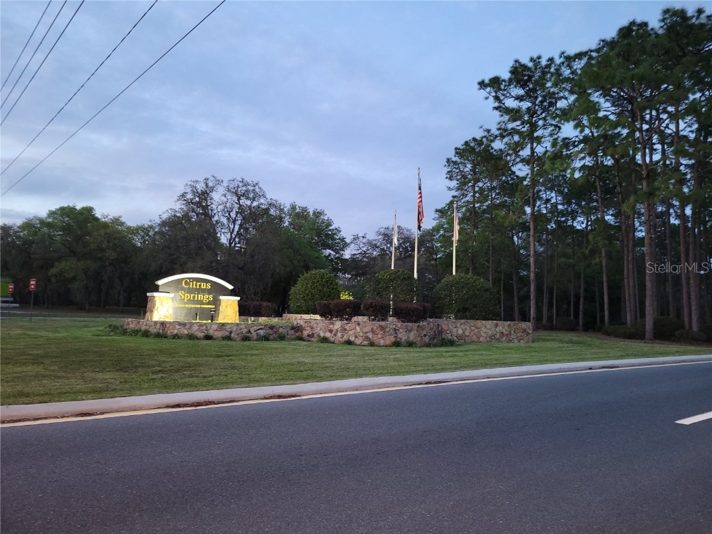 3930 W Fireside Lane Citrus Springs FL 34433 OM691033 image21