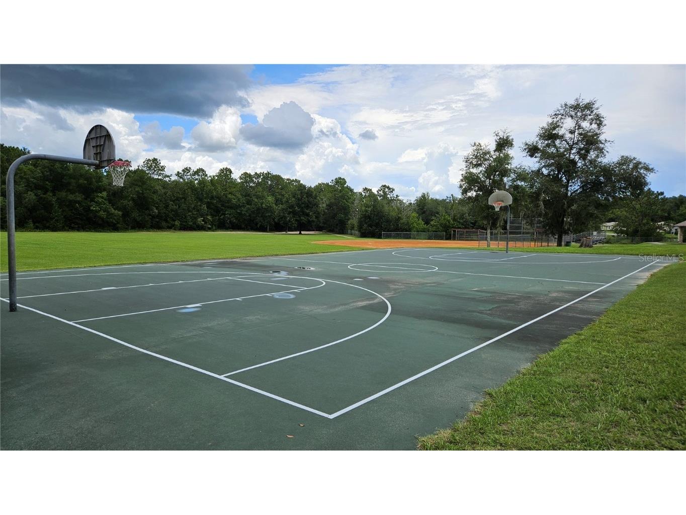 3930 W Fireside Lane Citrus Springs FL 34433 OM691033 image8