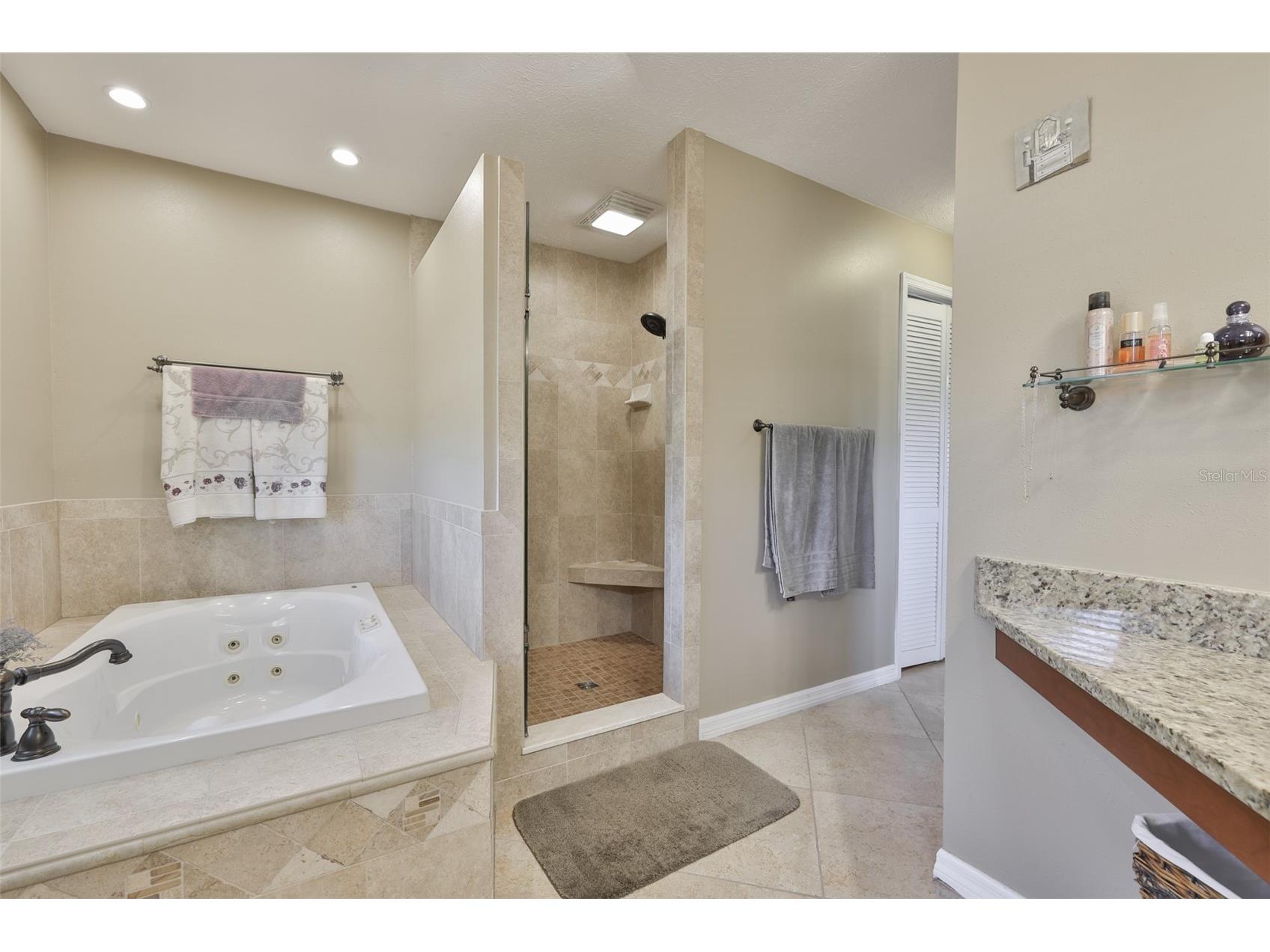 3931 Appletree Drive Valrico FL 33594 TB8499088 image43