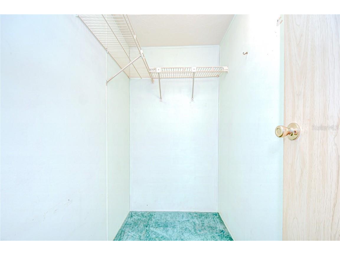 3931 Chris Drive Wesley Chapel FL 33543 TB8425420 image21