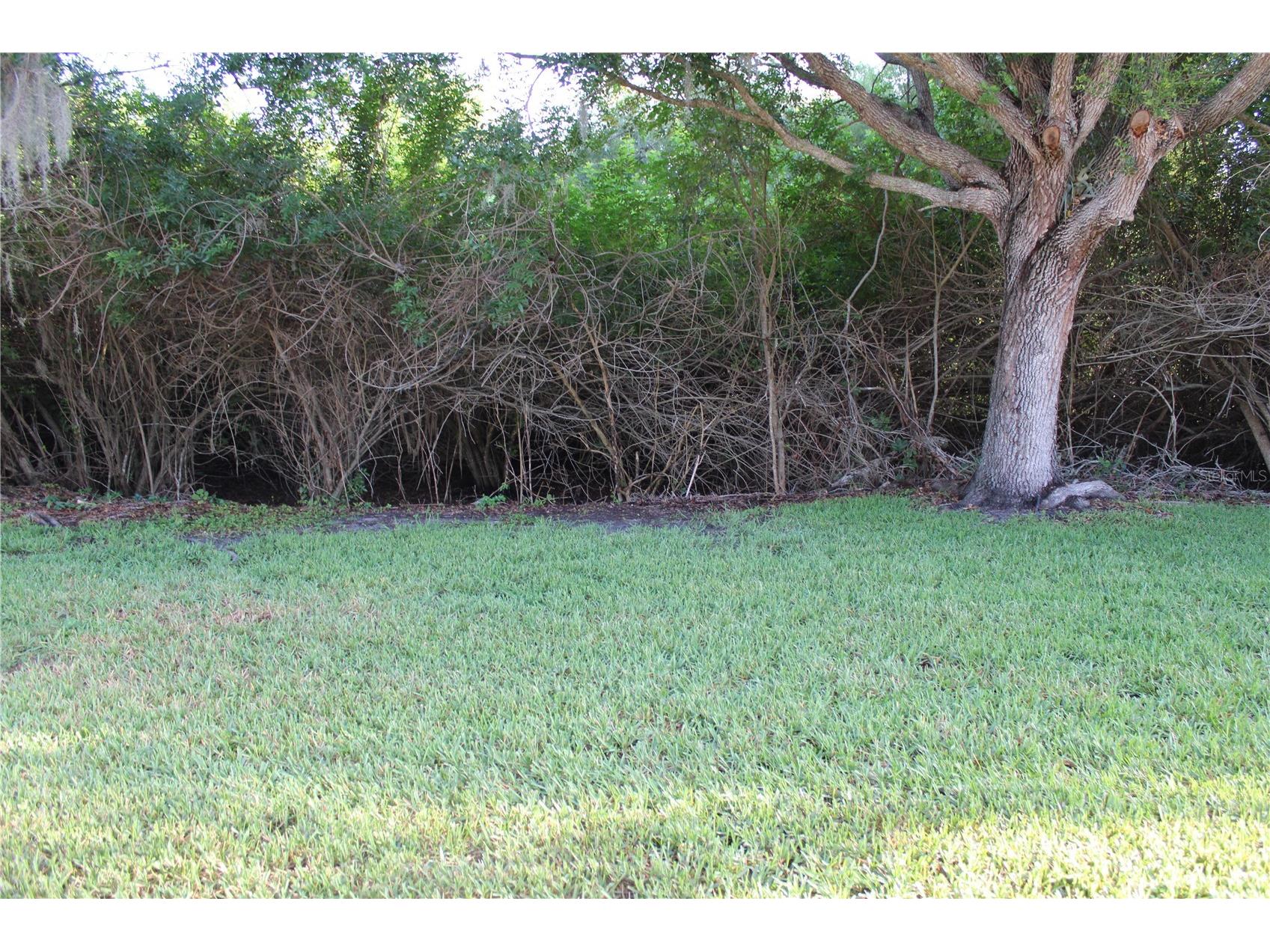 3931 Day Bridge Place Ellenton FL 34222 A4696844 image33