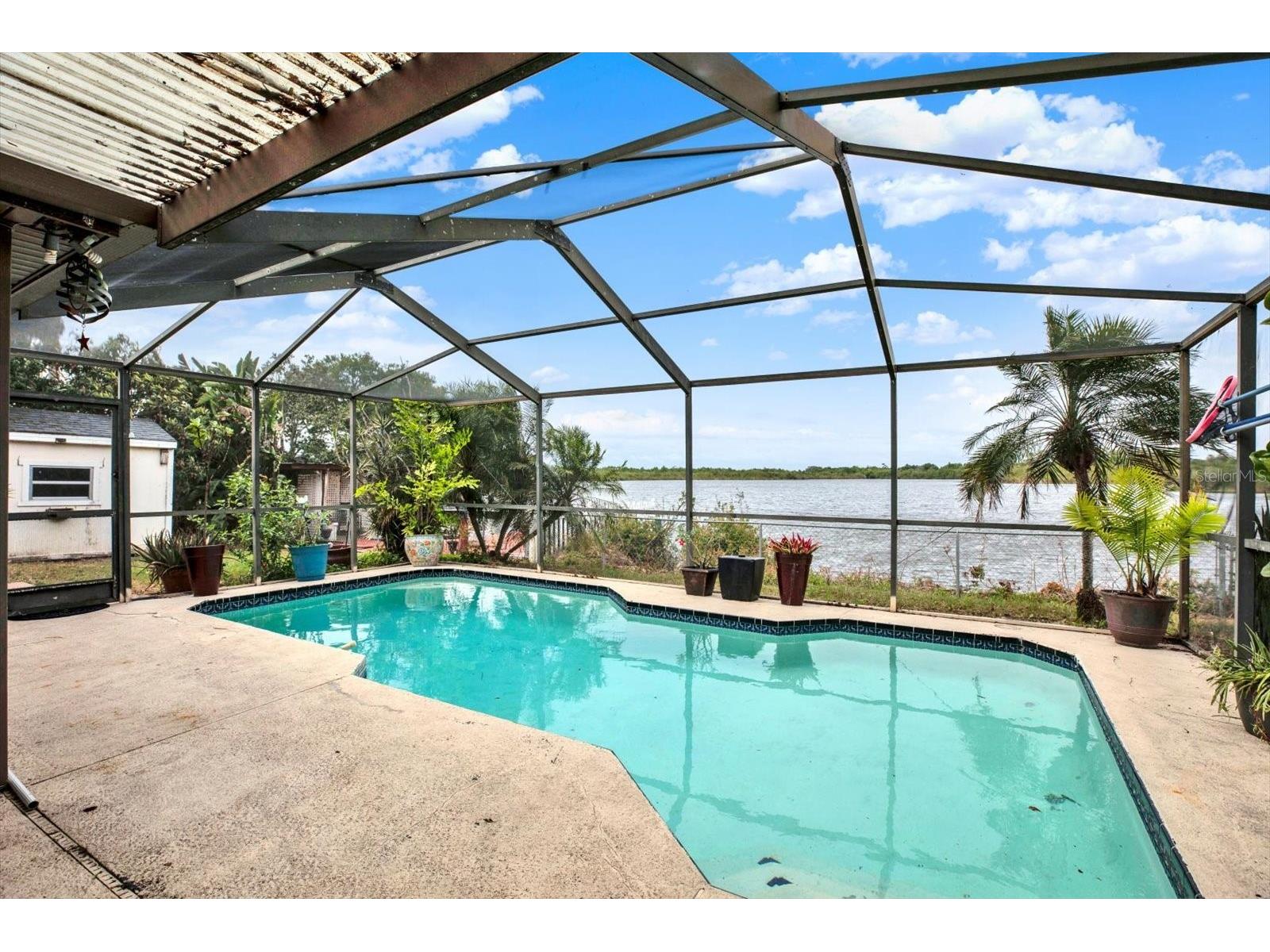 3931 Holiday Lake Drive Holiday FL 34691 - LAKE NASH TB8469857 image28