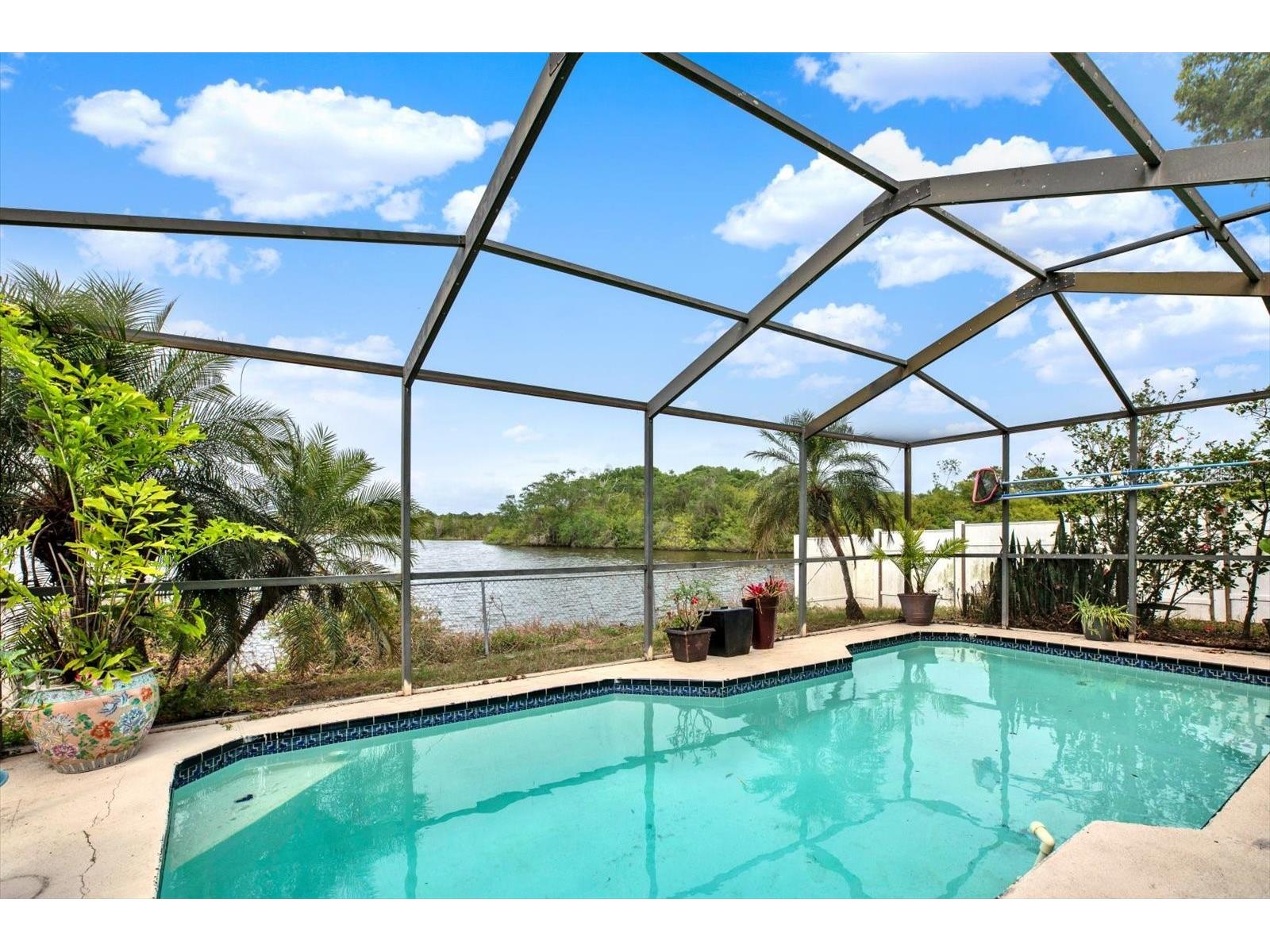 3931 Holiday Lake Drive Holiday FL 34691 - LAKE NASH TB8469857 image4