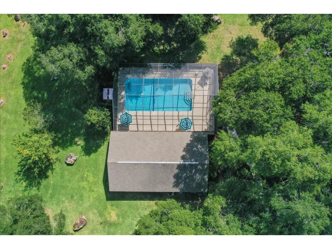 3931 NE 22nd Street Ocala FL 34470 OM711292 image44