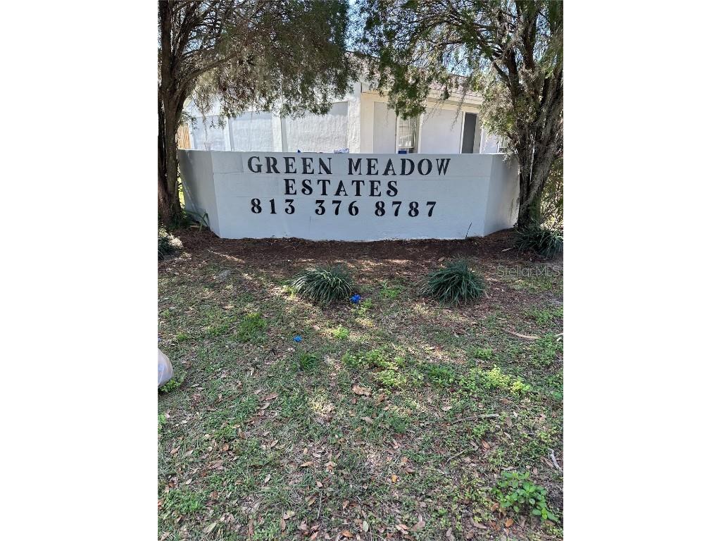 39312 Greenmeadow Drive Zephyrhills FL 33542 T3479846 image1