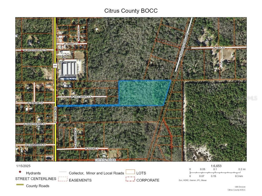 3932 N Hidden Oaks Way Crystal River FL 34428 P4933370 image1