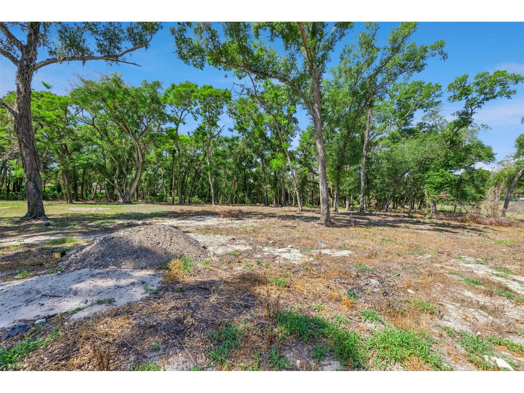 3932 White Heron Drive Orlando FL 32808 O6404476 image14