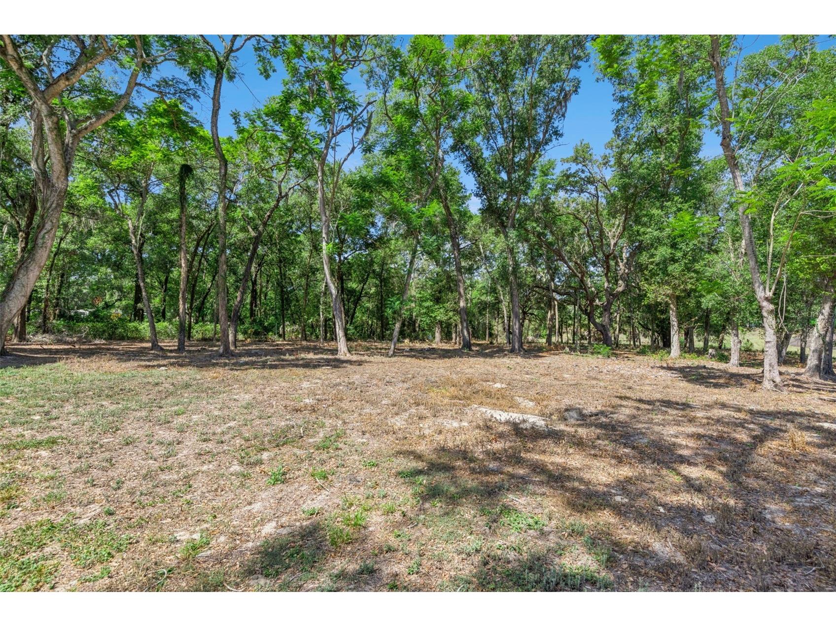 3932 White Heron Drive Orlando FL 32808 O6404476 image17