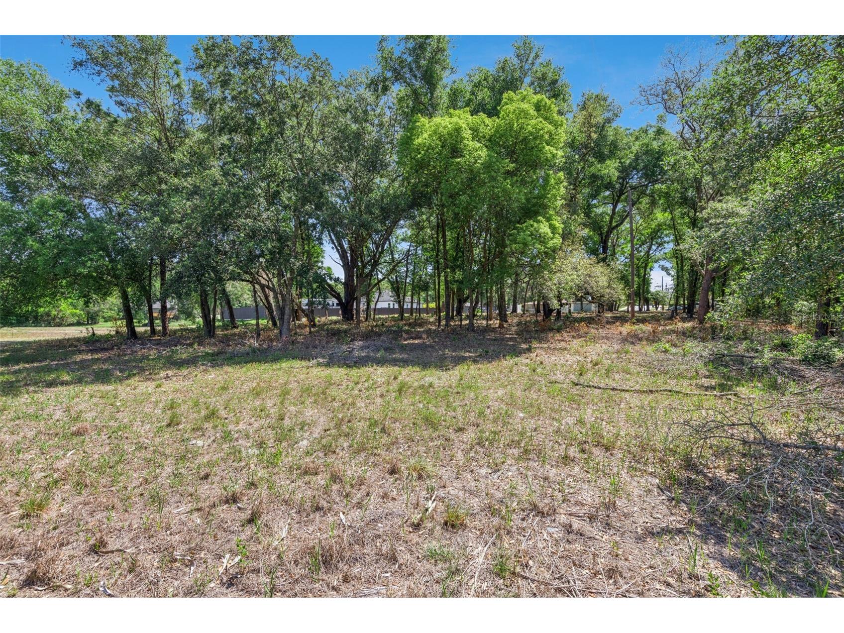 3932 White Heron Drive Orlando FL 32808 O6404476 image18