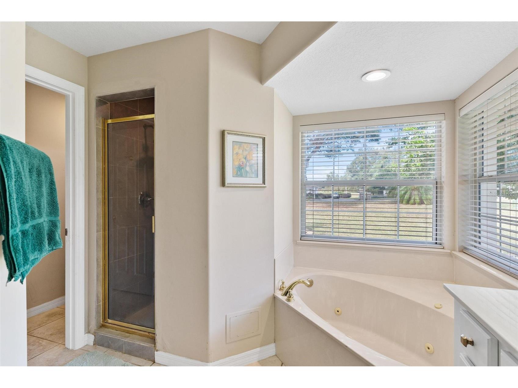 39320 Harbor Hills Boulevard Lady Lake FL 32159 - LAKE GRIFFIN G5090374 image24