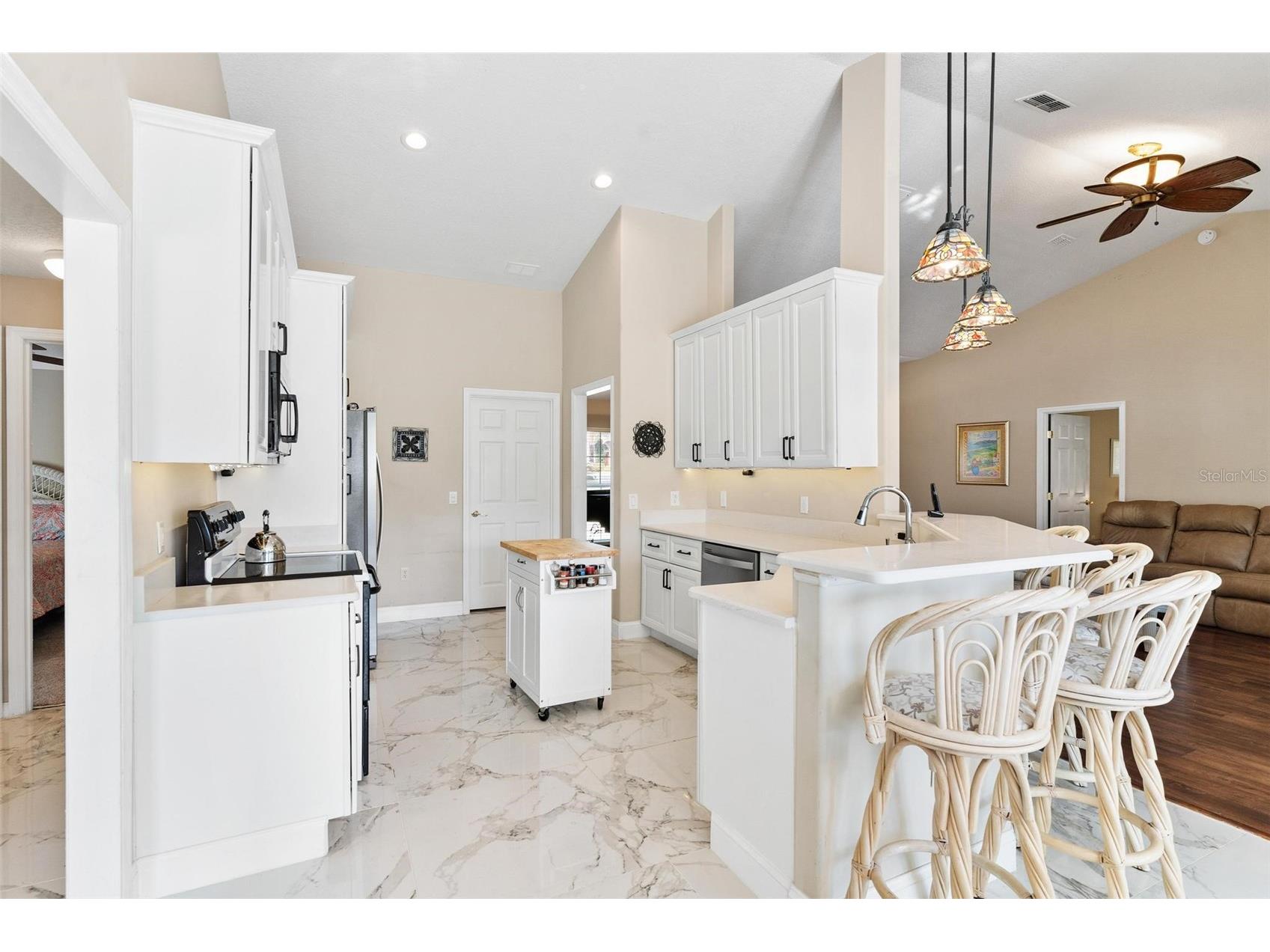 39320 Harbor Hills Boulevard Lady Lake FL 32159 - LAKE GRIFFIN G5090374 image7