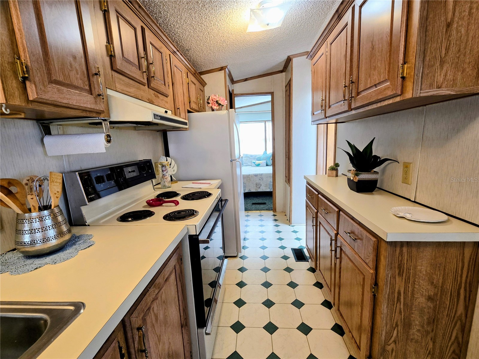 39326 Recess Drive Zephyrhills FL 33542 TB8492412 image10