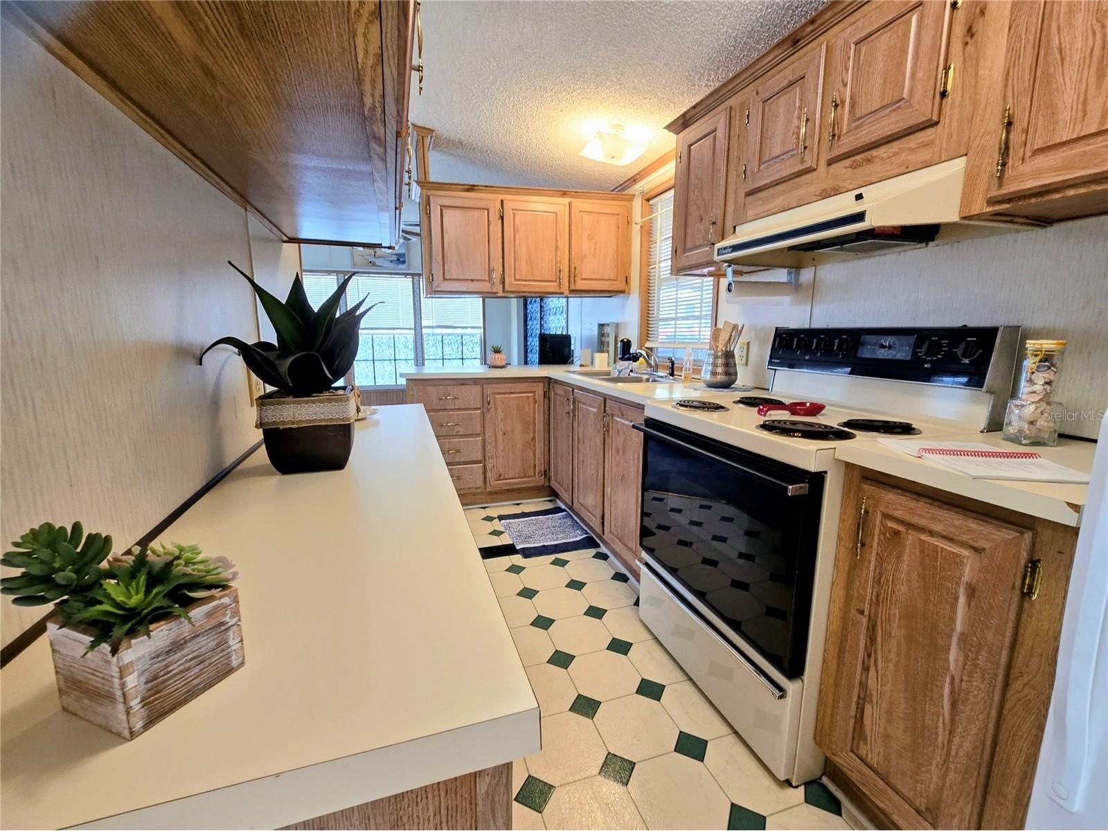 39326 Recess Drive Zephyrhills FL 33542 TB8492412 image11