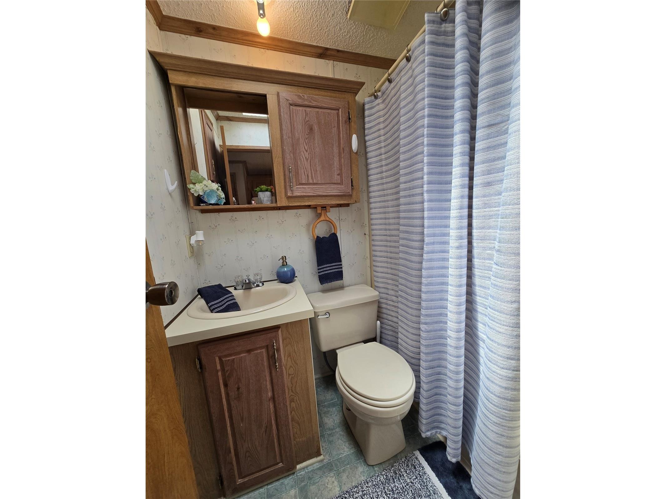 39326 Recess Drive Zephyrhills FL 33542 TB8492412 image12