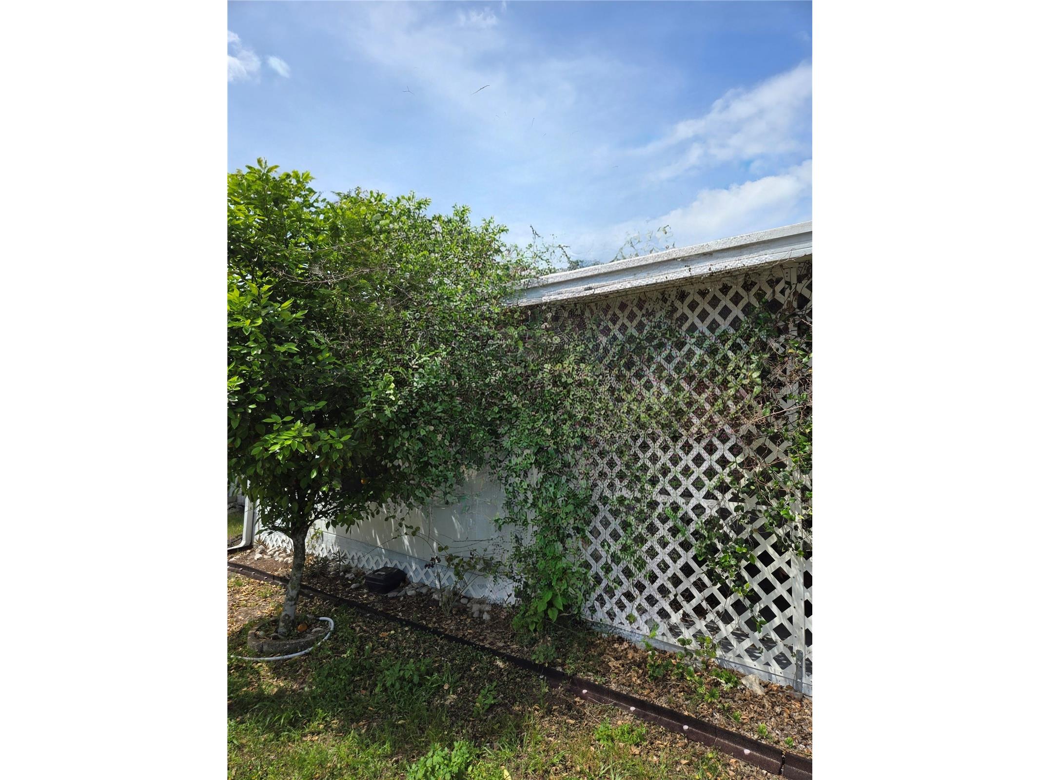 39326 Recess Drive Zephyrhills FL 33542 TB8492412 image21