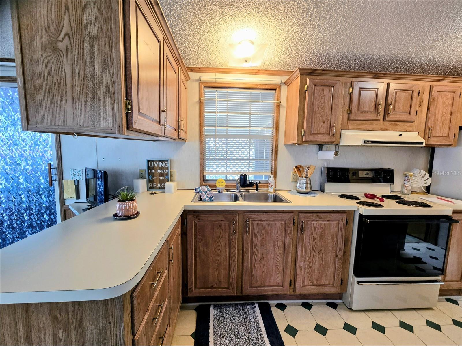 39326 Recess Drive Zephyrhills FL 33542 TB8492412 image9