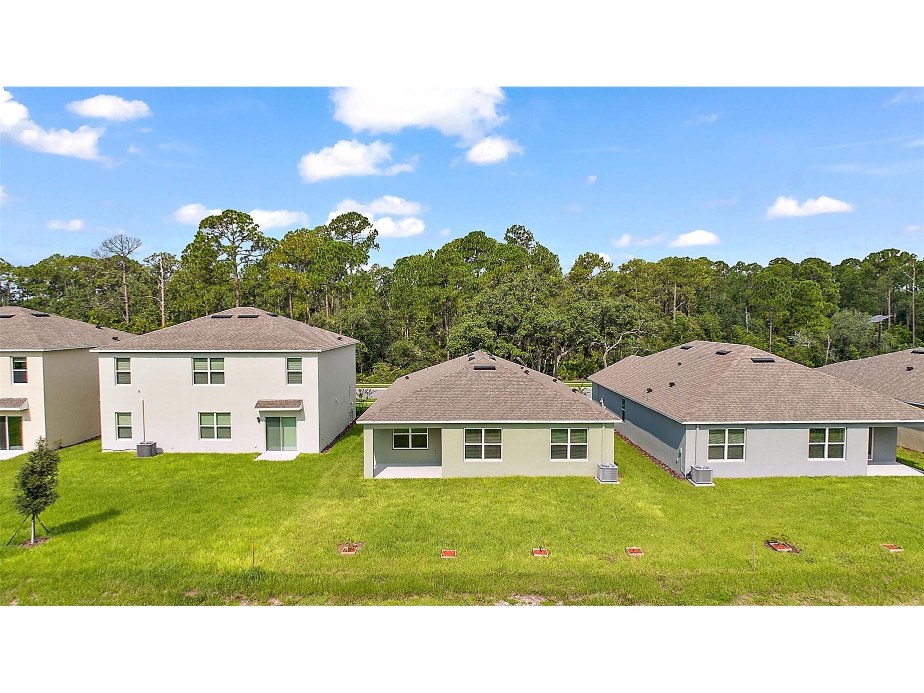 3933 Duval Court Clermont FL 34714 O6417330 image2