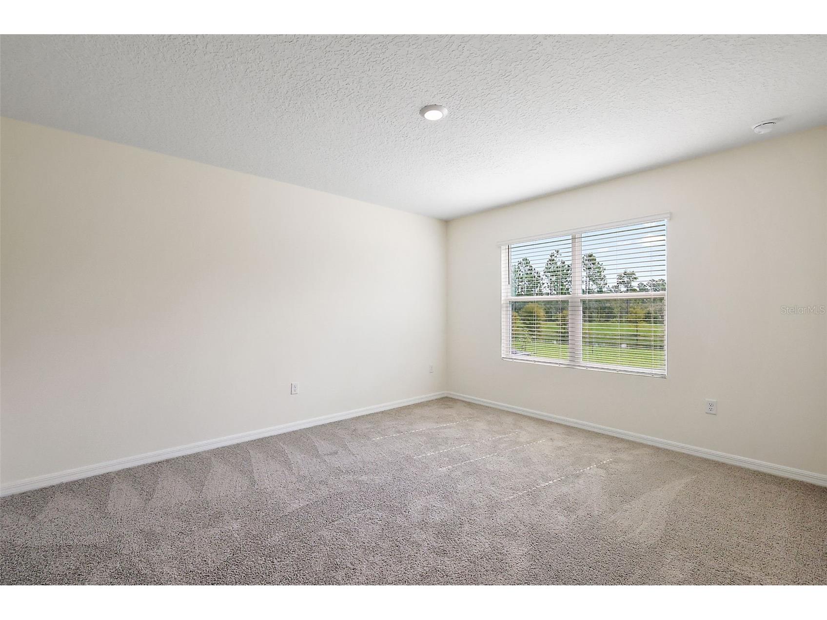 3933 Duval Court Clermont FL 34714 O6417330 image42