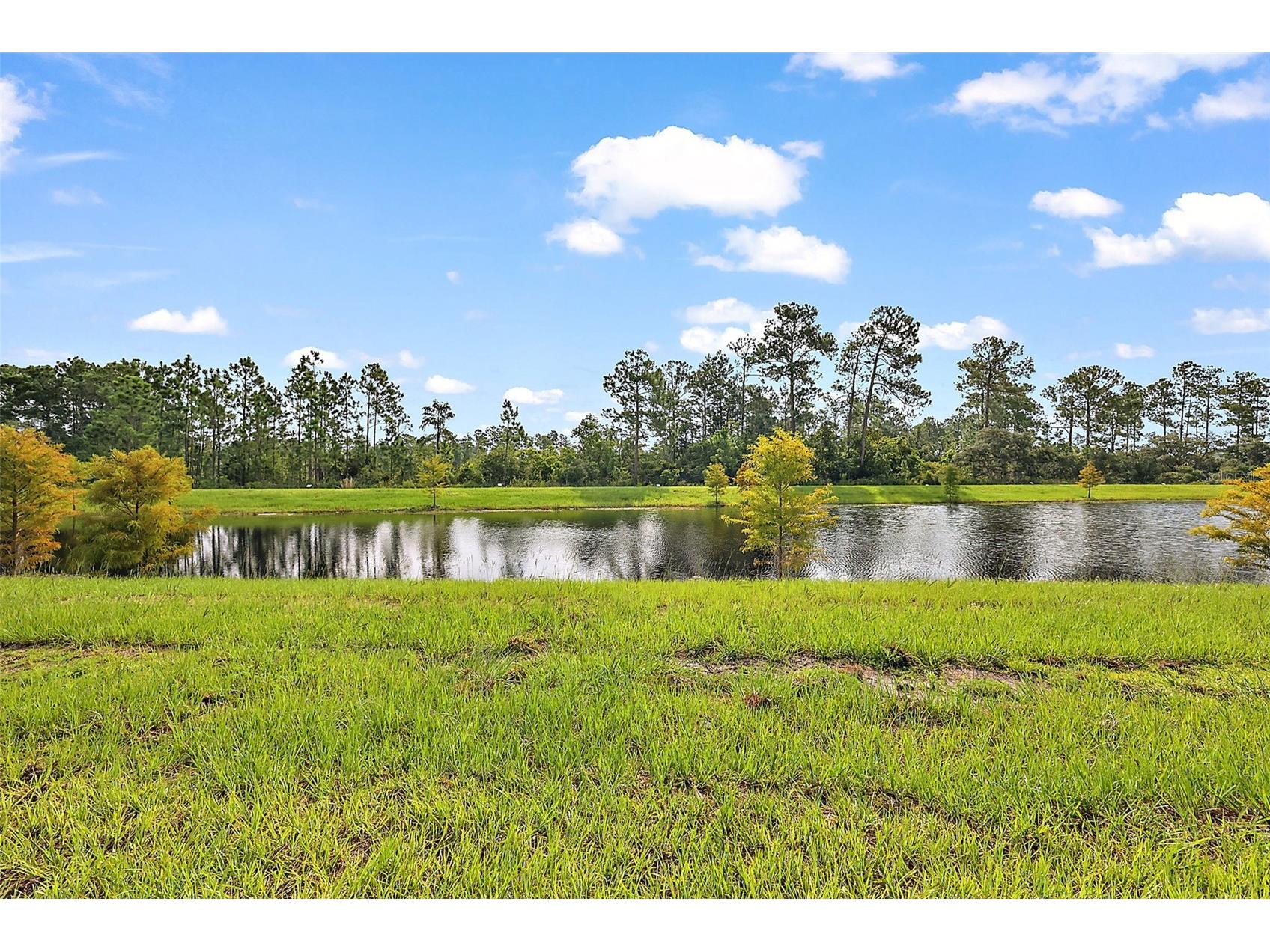 3933 Duval Court Clermont FL 34714 O6417330 image44