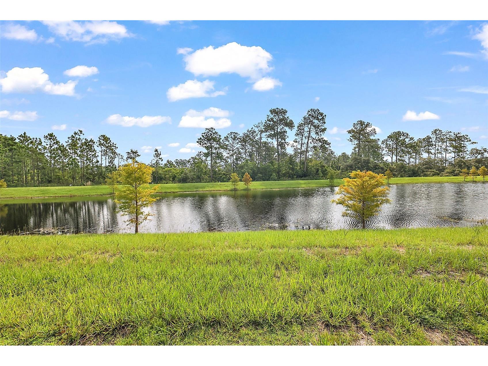 3933 Duval Court Clermont FL 34714 O6417330 image47