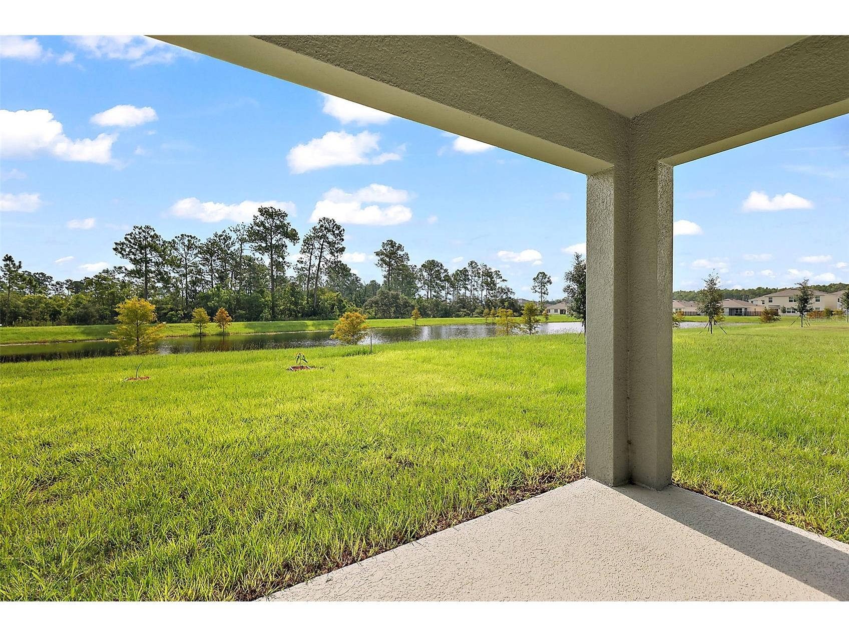 3933 Duval Court Clermont FL 34714 O6417330 image48