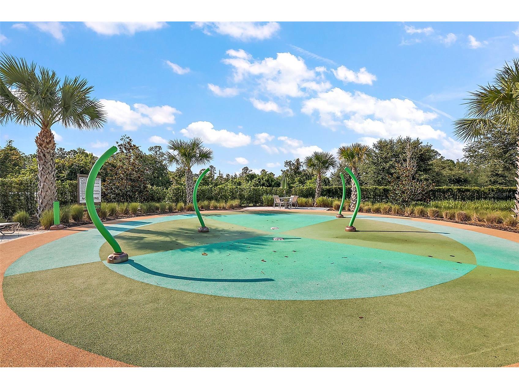 3933 Duval Court Clermont FL 34714 O6417330 image6