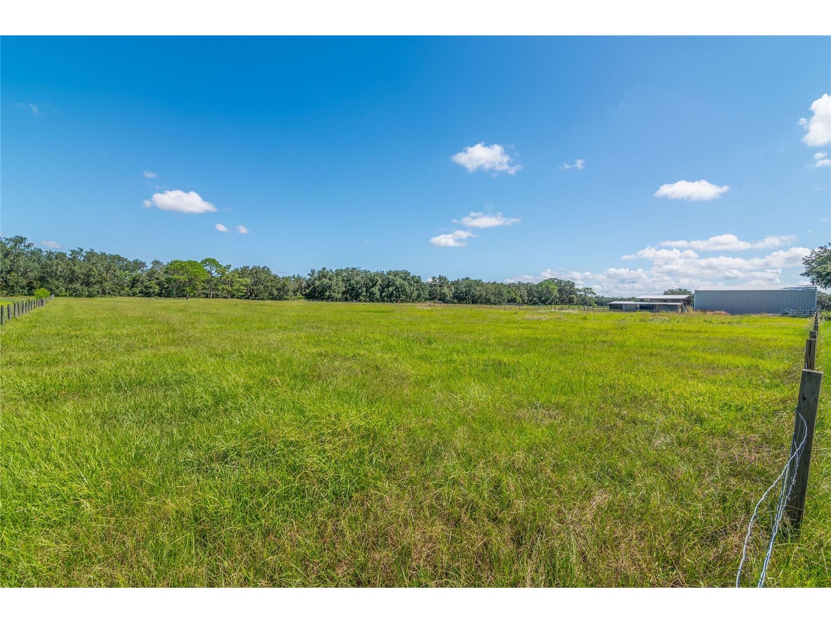 3933 Mammoth Grove Road Lake Wales FL 33898 L4948125 image4