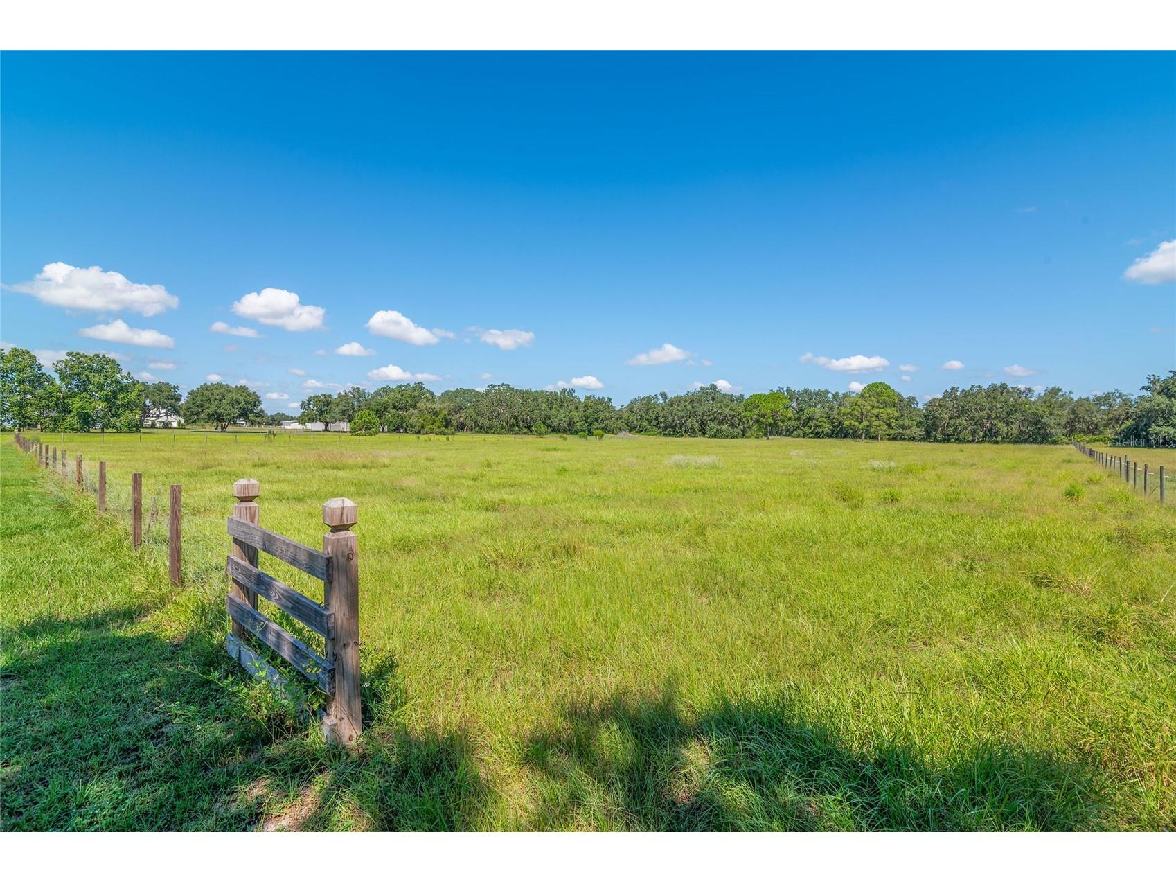 3933 Mammoth Grove Road Lake Wales FL 33898 L4948125 image5