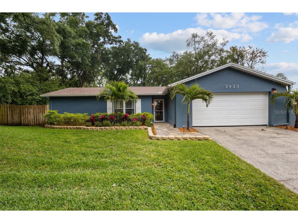 3933 Oak Hammock Drive Brandon FL 33511 T3518554 image1