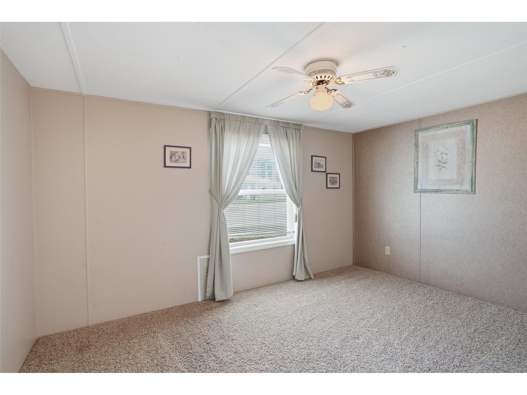 3933 Sarah Drive Wesley Chapel FL 33543 TB8508155 image15