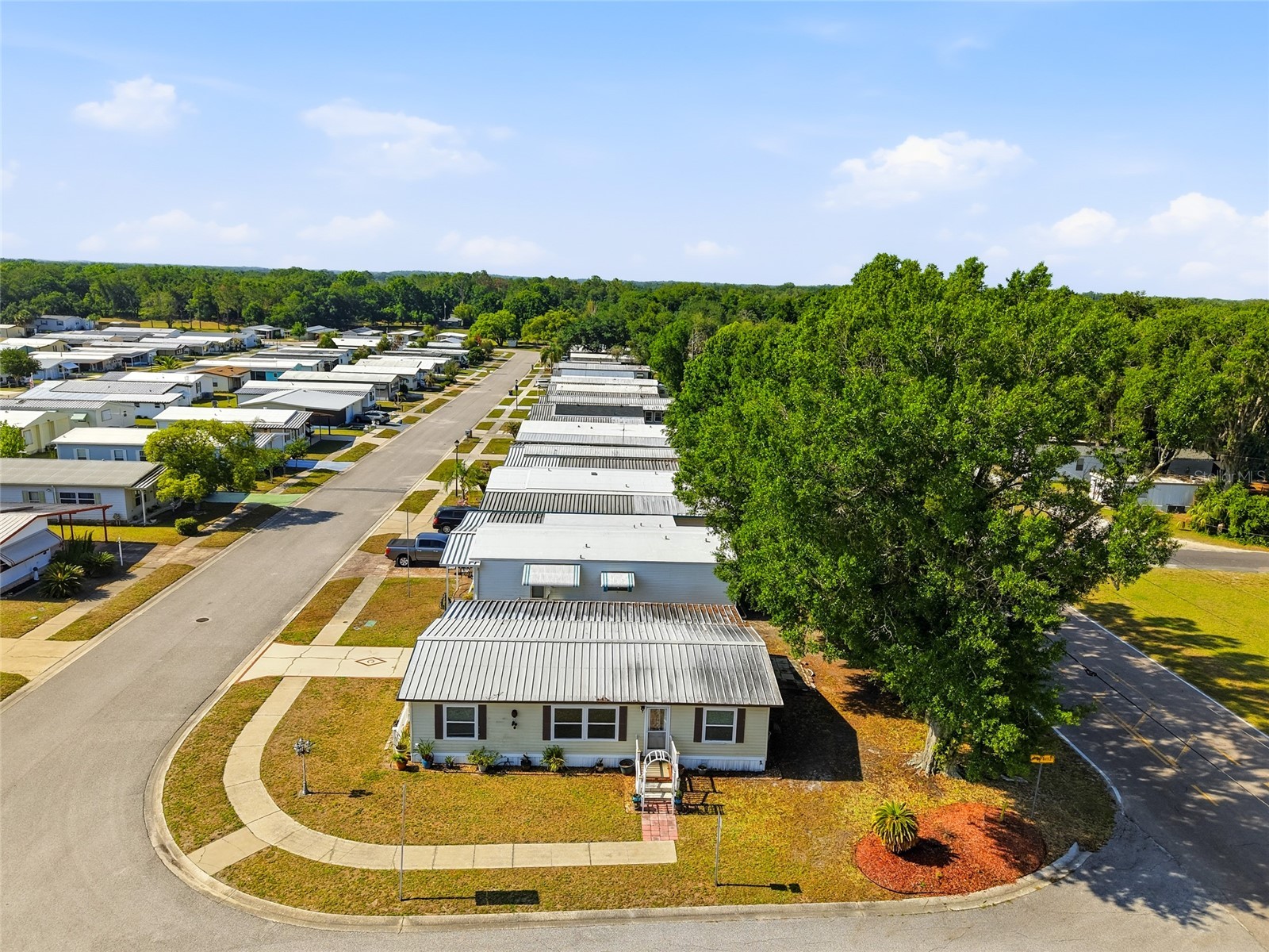 3933 Sarah Drive Wesley Chapel FL 33543 TB8508155 image24