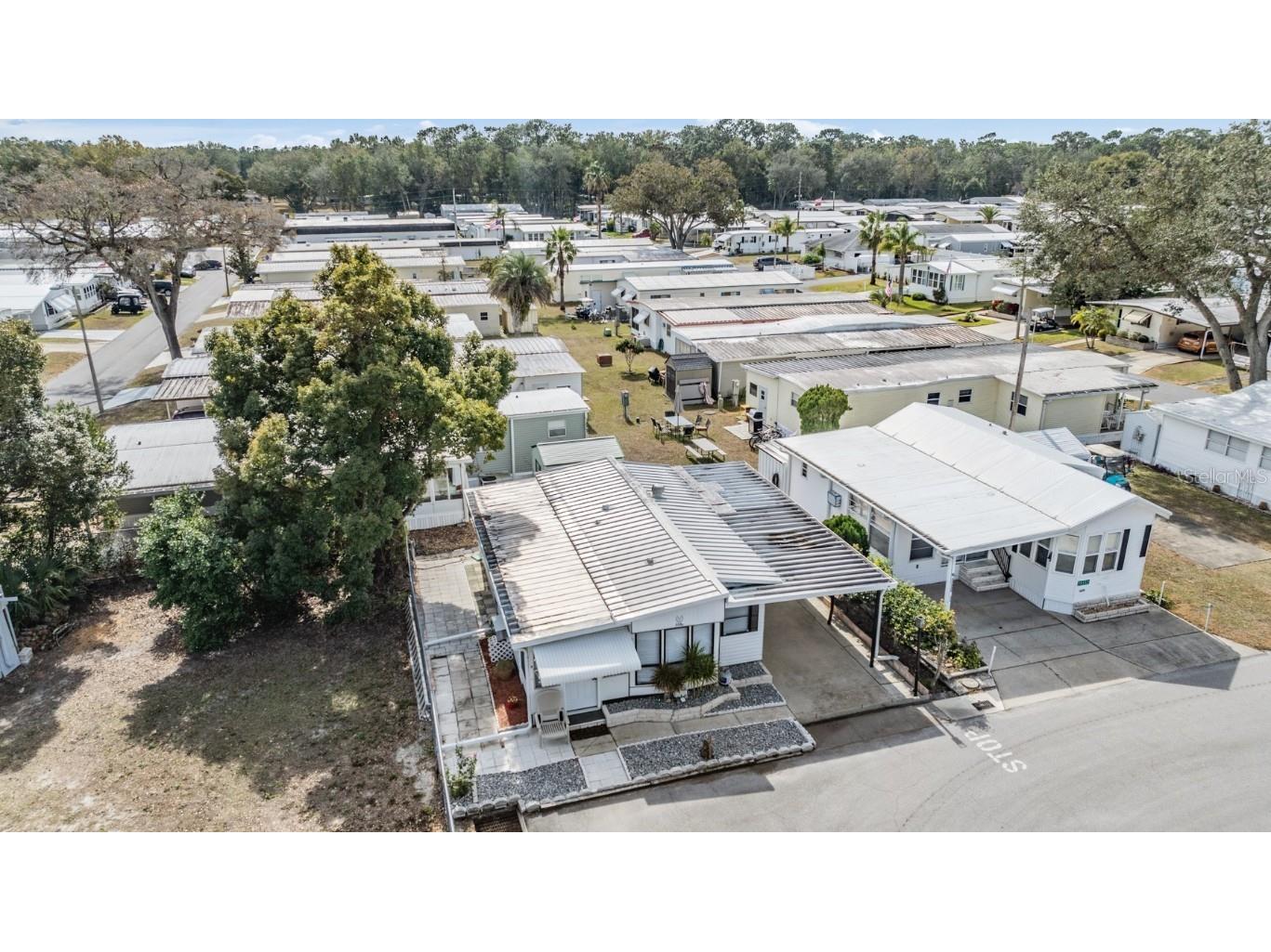 39334 Maher Drive Zephyrhills FL 33542 TB8436842 image25