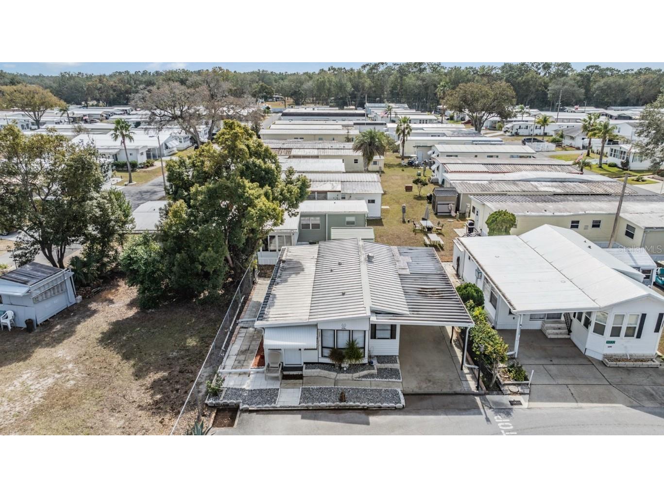 39334 Maher Drive Zephyrhills FL 33542 TB8436842 image26