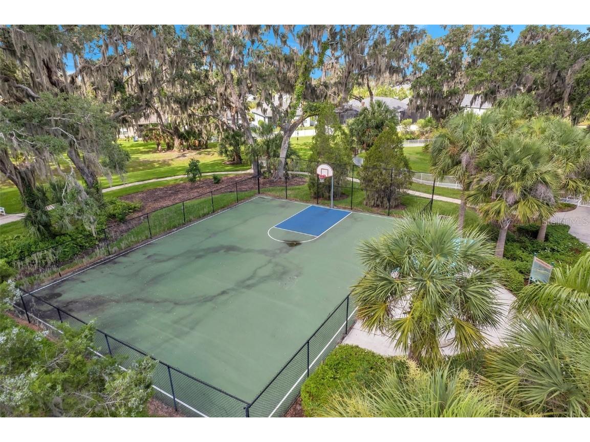 3934 Cottage Hill Avenue Parrish FL 34219 T3539739 image60
