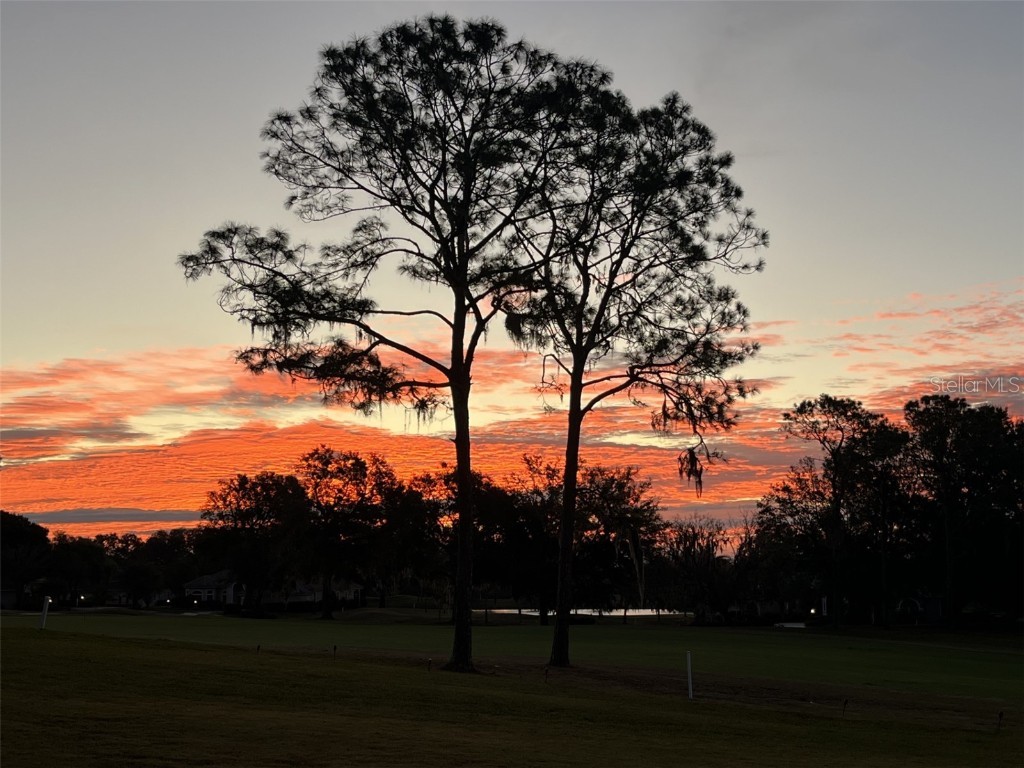 39342 Harbor Hills Boulevard Lady Lake FL 32159 G5104150 image51