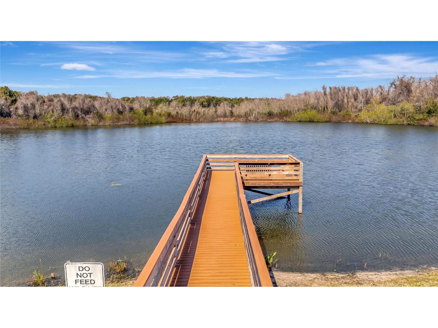 3935 Parway Road #1322 Zellwood FL 32798 G5108596 image57