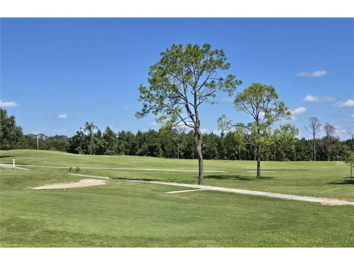 3935 Parway Road #1322 Zellwood FL 32798 - LAKE GRASSMERE AND LAKE COHEN O6344364 image15